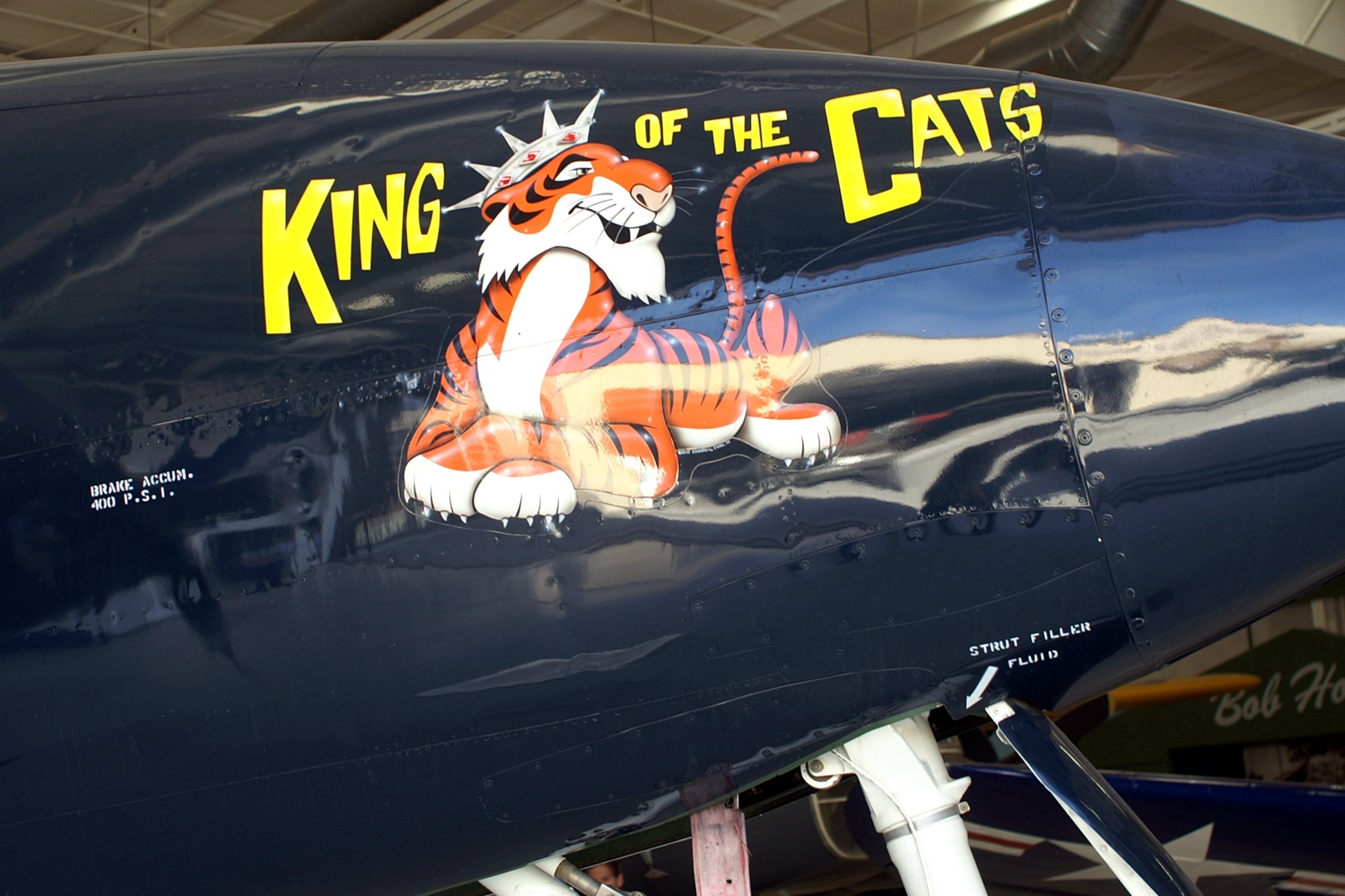 Aircraft Nose and Tail Art